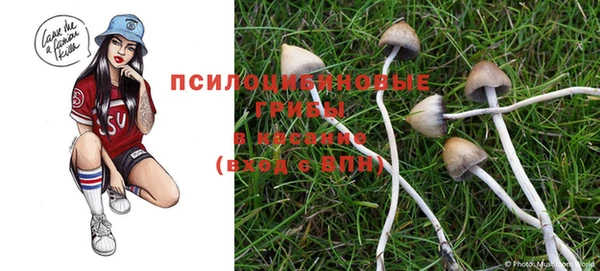 дурь Краснотурьинск