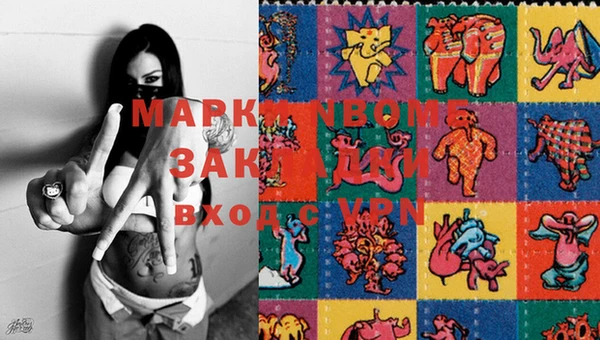 тгк Белая Холуница